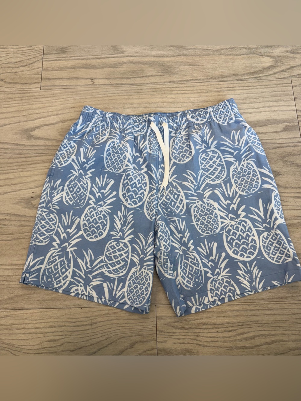 chubbies Light Blue Pineapple Print Swim Trunks
